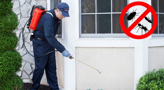 Vize Tahtakurusu İlaçlama böcek ilaçlama ve haşere kontrolü — ilaclama-tr.com